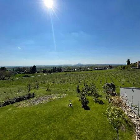 U Vinice شقة Mělník