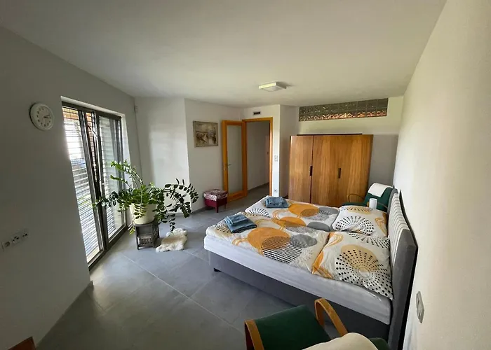 U Vinice Apartament *